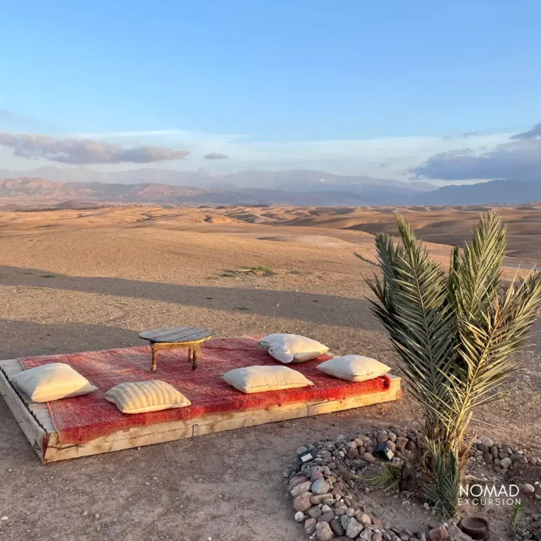 Marrakech Chameau
